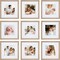 9 Piece Gallery Wall Frame Set, 12x12 in. Matted to 8x8 in. (Light Natural)